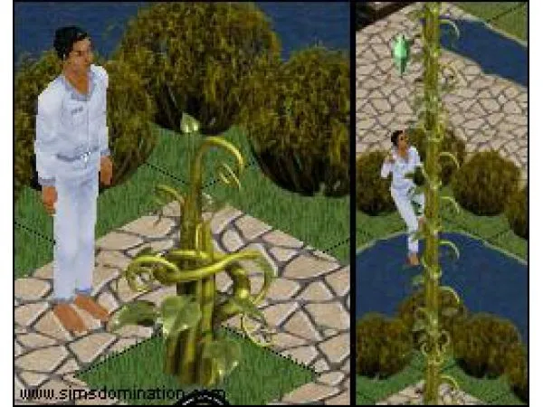 Pé de Feijão Ouro - The Sims 1 Custom Content