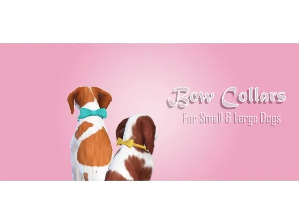 Alpha Dog Bow Collars - The Sims 4 Custom Content