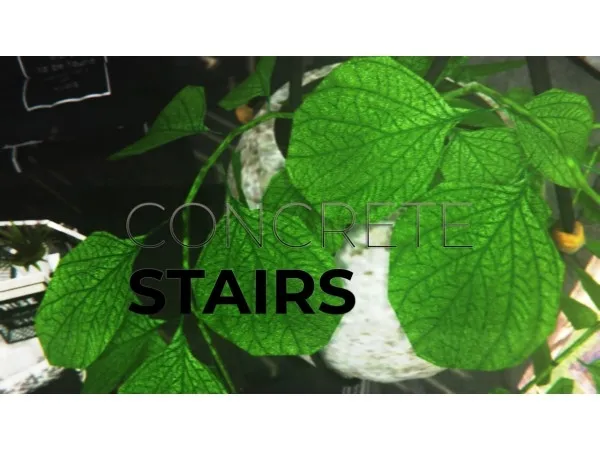 Alpha Concrete stairs brae by tene - The Sims 4 Custom Content