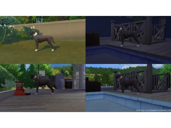 Mix Dog Pregnancy Overhaul by n8smom8496 - The Sims 4 Custom Content