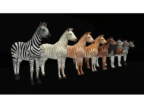 Zebra Mini Pack by horse14t - The Sims 3 Custom Content