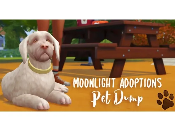 Moonlight Adoptions Pet Dump by nativemoonlight