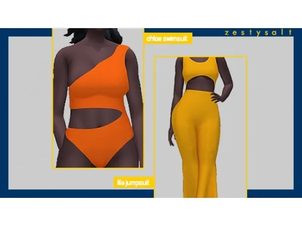 Maxis Match 200 followers gift by zestysalt - The Sims 4 Custom Content