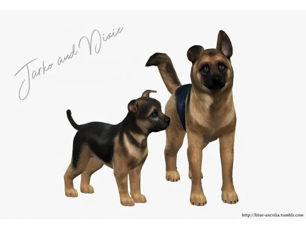 Alpha German Shepherd Puppies ancolia by blue - The Sims 4 Custom Content