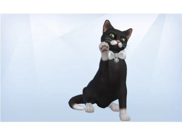 Maxis Match New Cat Gallery Pose 4 uk by guyc - The Sims 4 Custom Content