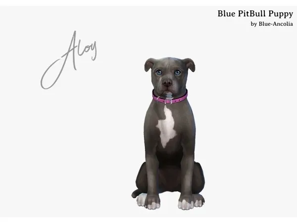 Maxis Match Aloy an adorable PitBull puppy ancolia by blue - The Sims 4 Custom Content