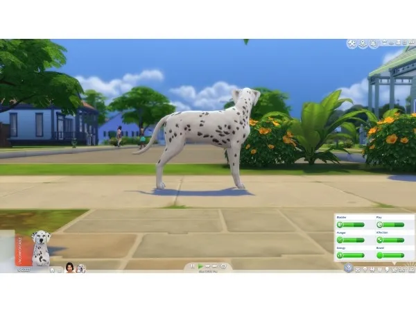 Mix Pet Pregnancy Motive Decay Fix by n8smom8496 - The Sims 4 Custom Content