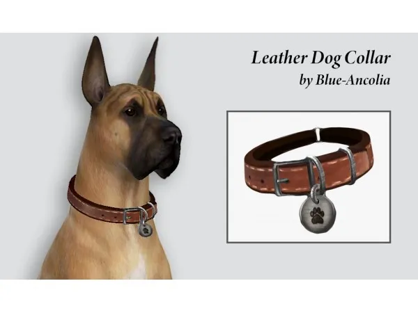 Sims 4 Dog Accessories