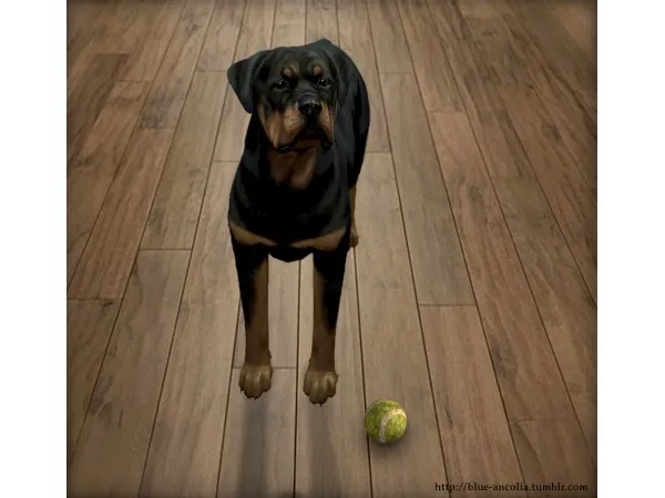 Alpha Realistic toy ball for your pets ancolia by blue - The Sims 4 Custom Content