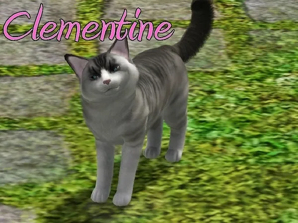 Clementine Cat - The Sims 3 Custom Content