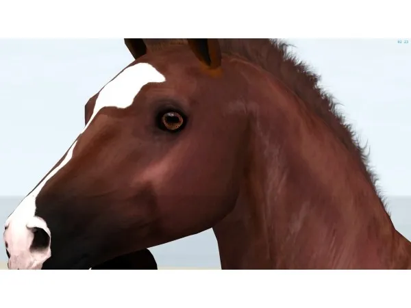 Horse Eyes by purespirithorses - The Sims 3 Custom Content