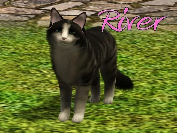 River Cat - The Sims 3 Custom Content