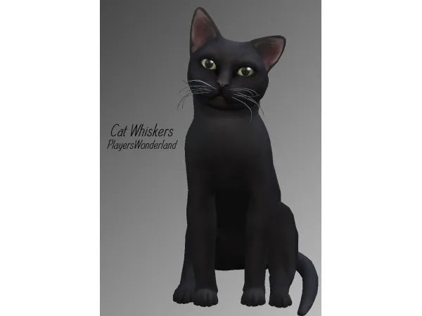 Alpha Cat Whiskers 01 creations by pw - The Sims 4 Custom Content