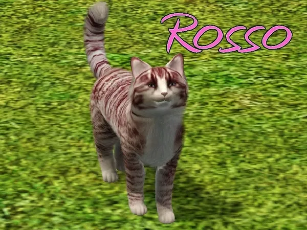 Rosso Cat - The Sims 3 Custom Content