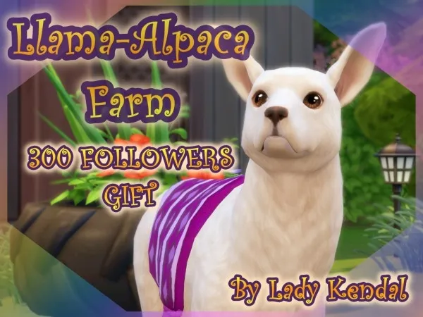 Lama-Alpaca farm by ladykendalsims