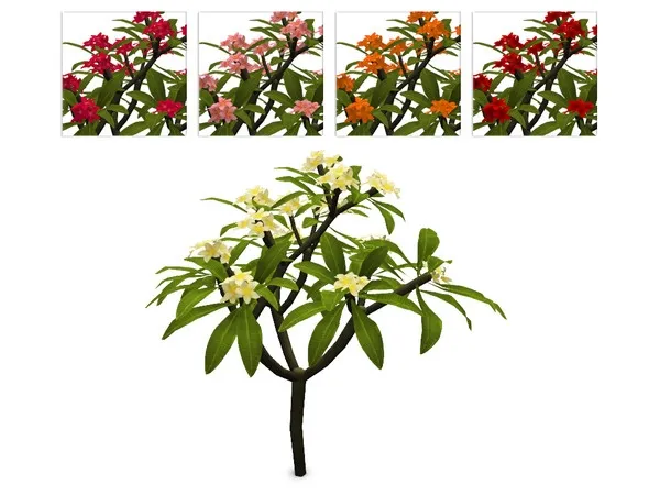 Large Plumeria Bush - The Sims 4 Custom Content
