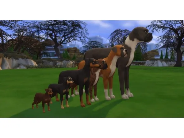 Maxis Match Dog SizeHeight Slider by pixelpfote - The Sims 4 Custom Content