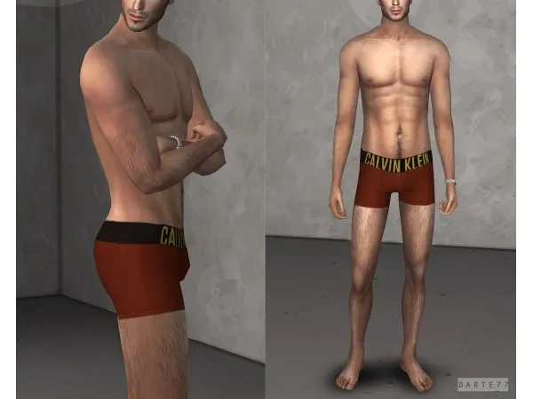 Alpha CK Boxer Briefs by darte77 - The Sims 4 Custom Content