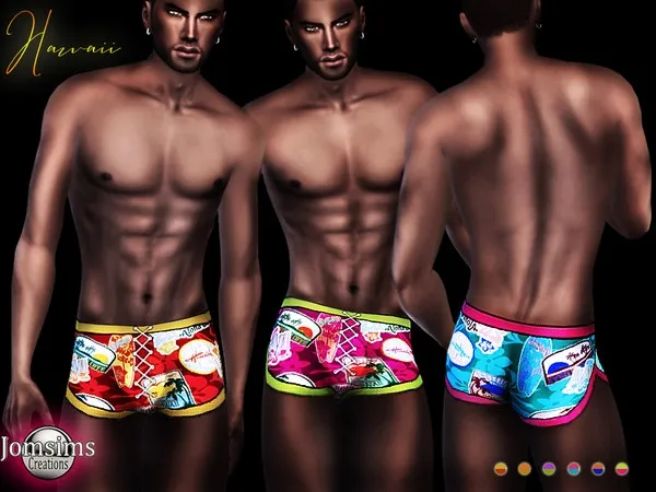 Alpha Hawaii hand painted swimsuit for men - The Sims 4 Custom Content