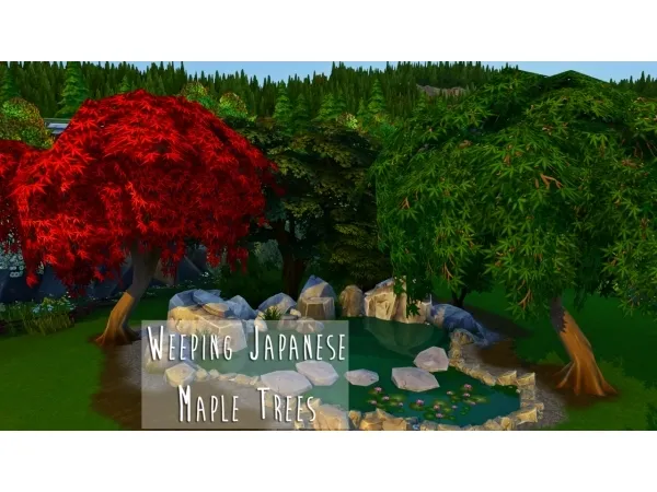 Alpha Weeping Japanese Maple Trees by teanmoon - The Sims 4 Custom Content