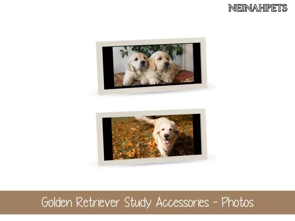 Golden Retriever Study Accessories Photo Table Frame MESH REQUIRED - The Sims 4 Custom Content