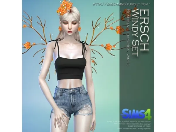 ERSCH - WINDY SET FOR TS4