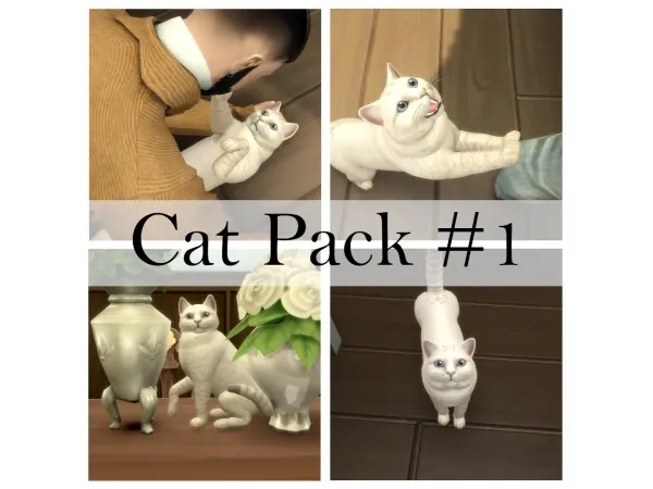 Alpha Miscellaneous Cat Posepack - The Sims 4 Custom Content