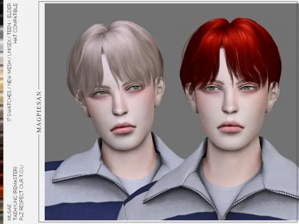 Alpha magpiesan's Taehyung Hair - The Sims 4 Custom Content