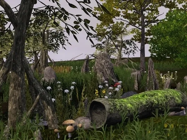 Cypress Swamp by sim_man123 - The Sims 3 Custom Content