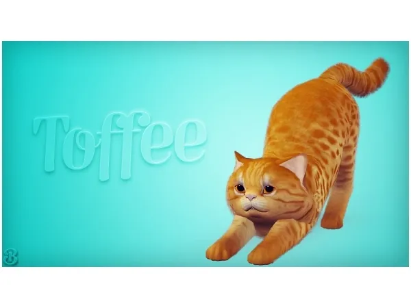 Toffee Adopt Cat - The Sims 3 Custom Content