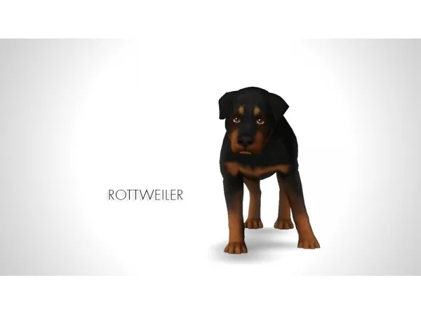 Improved Rottweiler by morganabananasims - The Sims 3 Custom Content