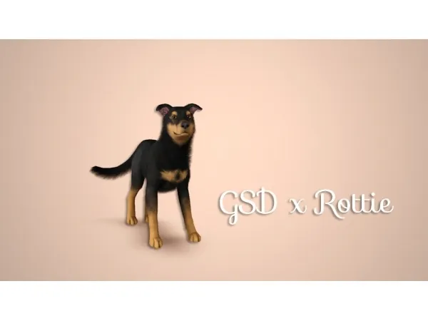 GSD x Rottweiler Cross - The Sims 3 Custom Content