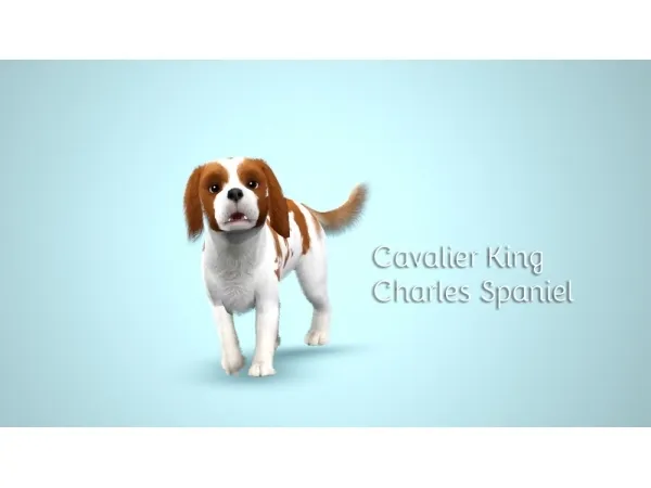 Improved Cavalier King Charles Spaniel - The Sims 3 Custom Content