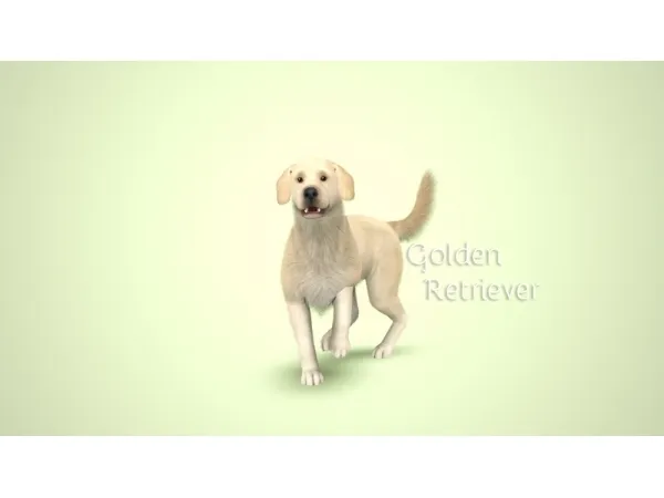 Golden Retriever by morganabananasims - The Sims 3 Custom Content