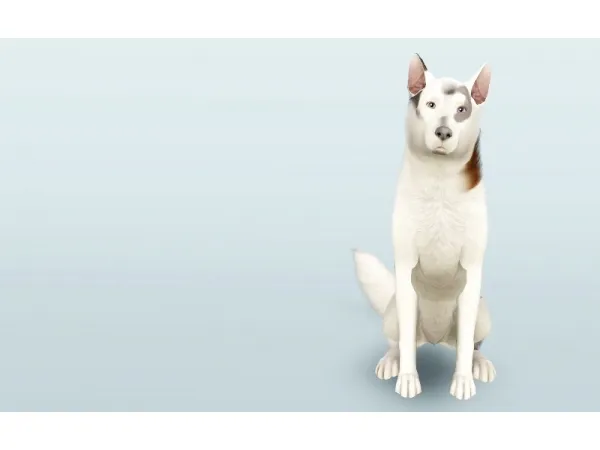 Ben Ben Dog - The Sims 3 Custom Content