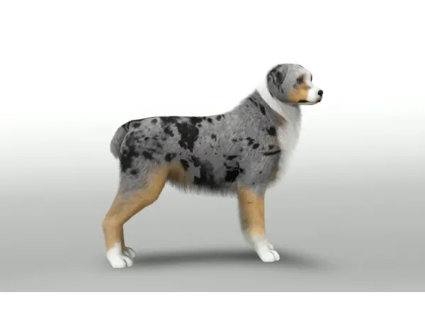Australian Shepherd - The Sims 3 Custom Content