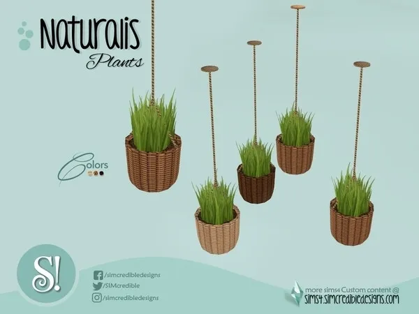 Naturalis Hanging plant small - The Sims 4 Custom Content