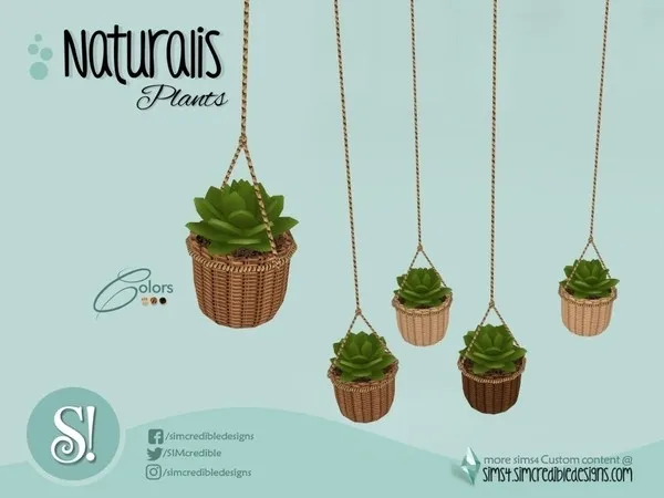 Naturalis Hanging Plant Suculenta Tall - The Sims 4 Custom Content