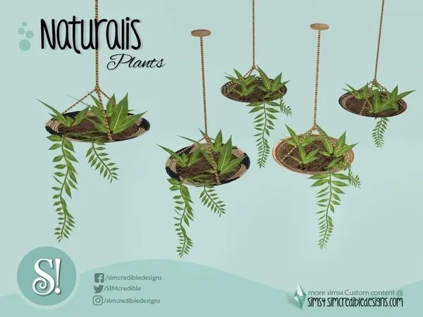 Naturalis Hanging Plant plate - The Sims 4 Custom Content