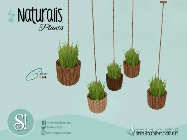 Naturalis Hanging plant small tall - The Sims 4 Custom Content