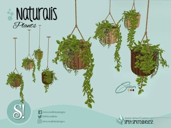 Naturalis Hanging Plant - The Sims 4 Custom Content