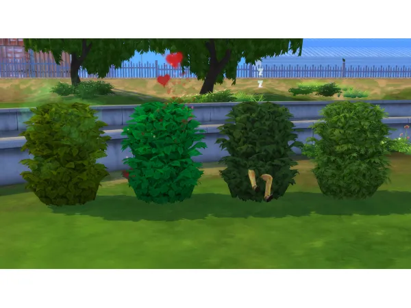 Maxis Match Plain Interactive (WooHoo) Bushes by Ellawese - The Sims 4 Custom Content
