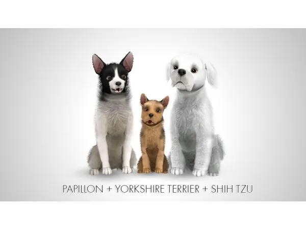Improved Papillon Yorkshire Terrier Shih Tzu - The Sims 3 Custom Content