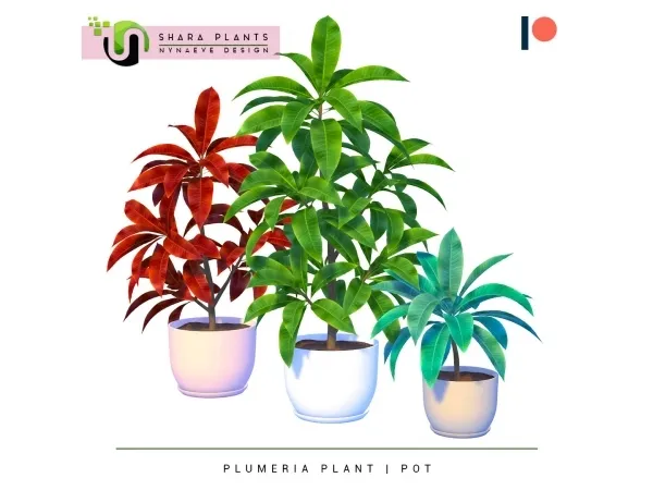 Alpha Shara Plumeria Plant - The Sims 4 Custom Content