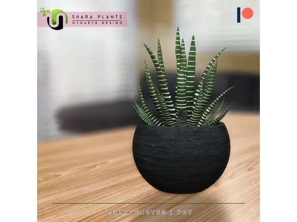 Alpha Shara Zebra Cactus - The Sims 4 Custom Content