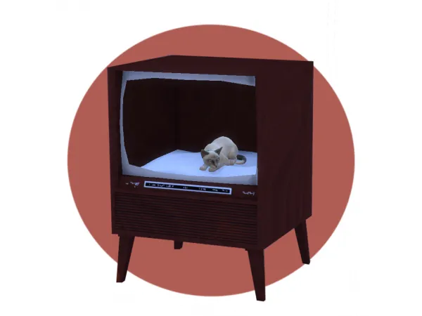 Retro TV Box for your favorite furry ball