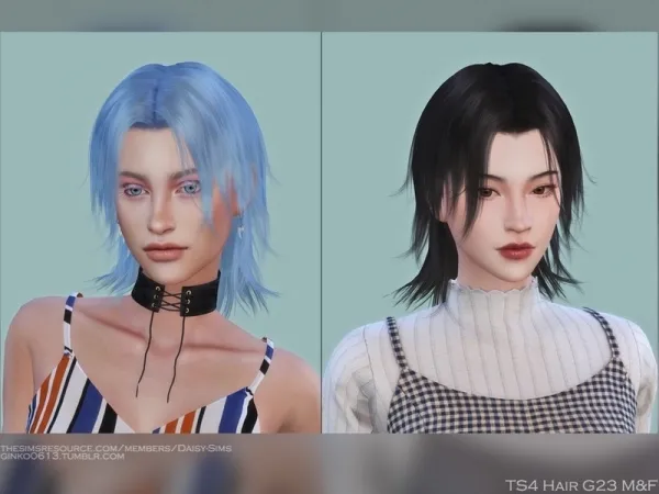 Alpha Daisy Sims' DaisySims Male Female Hair G23 - The Sims 4 Custom Content