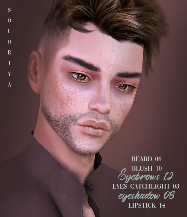 Alpha Beard 06 blush 10 eyebrows 12 eye catchlight 03 eyeshadow 08 lipstick 14 Sims 4 by simsfinds - The Sims 4 Custom Content