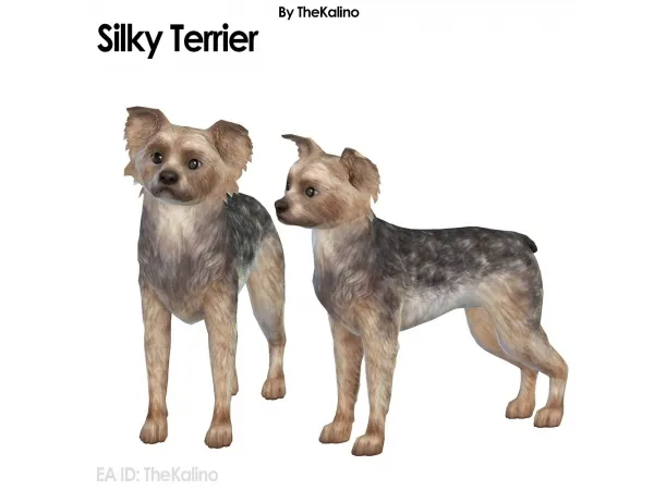 Alpha Silky Terrier - The Sims 4 Custom Content