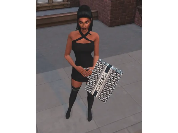 Alpha Dior Tote Bag Accessory - The Sims 4 Custom Content